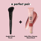 Ten Out of Ten Brush Kit